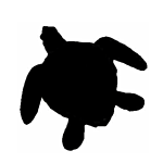 SILHOUETTE #127-4" "TURTLE" FLAME CUT